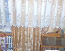 Я на кухню, как то,0 зашел и увидел самую длинную кошку...