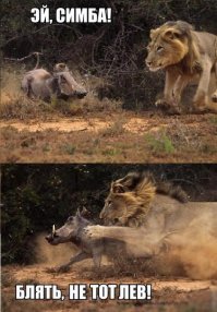 Весёлые картинки