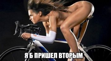 Весёлые картинки