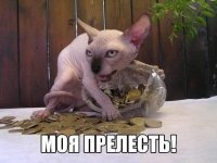 10 опасных животных, которых все считают милыми и добрыми
