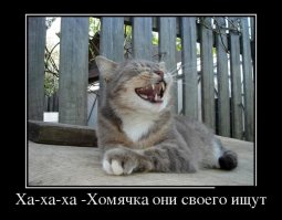 Очаровательные, пушистые комочки зла