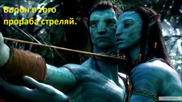 Небоскребы будут строить в стволах деревьев