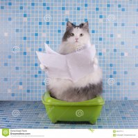 "Я даже с толчка за лампой слезать не буду!.."