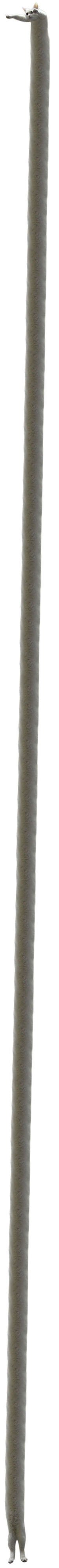 Самый длинный? Longcat'a уже все забыли что ли?)