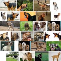 комментарии - блеск