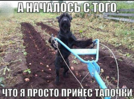 Очередная подборка картинок с подписями