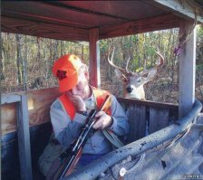 Олененок не испугался охотников и принялся обнюхивать их ружья