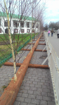 Вова будет ехать?