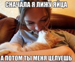 Очаровательные, пушистые комочки зла