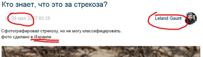 Судя по предыдущему посту - Израиль. :) Угадал? :)