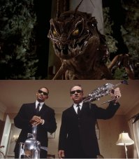 Богомол. Фотосессия