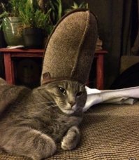 Котэн-хамон