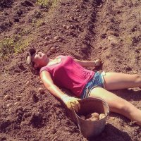 Ой бл#ть устала она, там считай все трактором выкопано, собирай да собирай, ни копать не надо, ни отряхивать, ни чистить, даже ботву не надо убирать, лафа по колхозным меркам! =