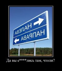 Про анекдоты, коленки Марины Владимировны, и леспромхоз