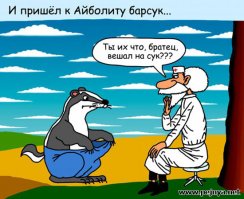 Очередная подборка картинок с подписями