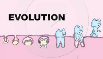 Очередная подборка картинок с подписями