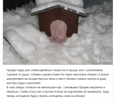 Будку тоже с юмором продают

надо может кому
объявление еще в силе )))