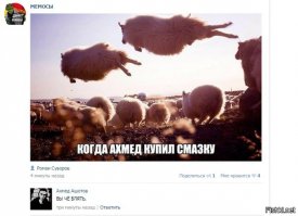 Ахмед негодуэ!!!