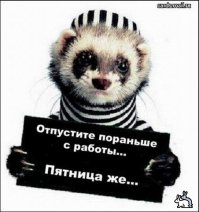 прикольно! просматривая, улыбалась во все лицо. Хочу домой!