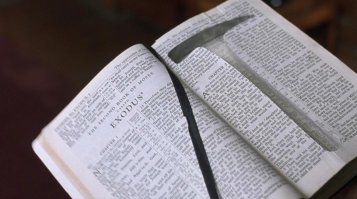 Им библия дала выход