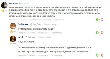 Из вчерашнего поста про самого длинного кота