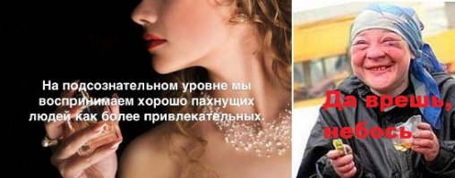 Любопытные и интересные факты обо всем на свете