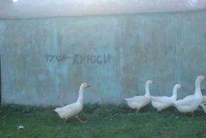 Анекдоты за 02.05.2017