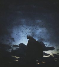 Человек, всего лишь пыль на сапогах Вселенной.