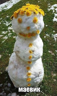 Поржачная солянка!