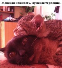 Жена любит засыпать, положив голову мне на плечо. Я потом осторожно выползаю из её объятий, иначе заснуть не могу.