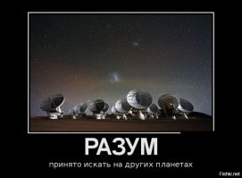 За этот эксперимент доктор был приговорен к казни на электрическом стуле