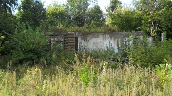 Станция,рядом с моей деревней.Точнее,то что от неё осталось.На фотке-здание вокзала.Лет 25 назад это все работало,на путях стоял семафор,в здании вокзала работал магазин,а в зале ожидания стояла здоровенная печь.На платформе дежурный, с диском в руке, показывала прибытие и отправление составов.Три железнодорожных линии,из которых две убрали.На другой фотке место отправления поезда.Сохранилась только табличка.А на месте густой растительности,на заднем плане,был поселок при станции.На данный момент,не осталось ни одного дома,кроме разрушенного вокзала.