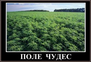 Зелье? Или просто....