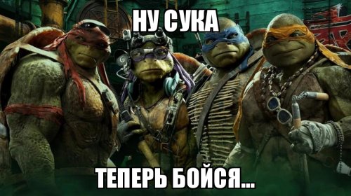 Жителю Владивостока грозит 20 лет тюрьмы за убийство черепахи!