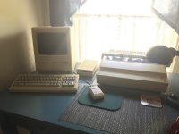 Кота не хватает.