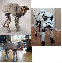 Я уверена, их хозяева хотели как лучше!