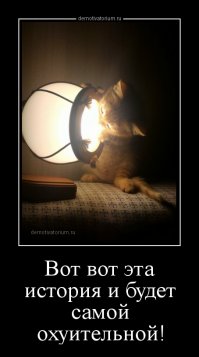 Немного прикольных картинок с просторов