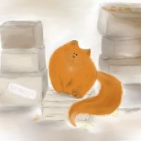 Оранжевый кот