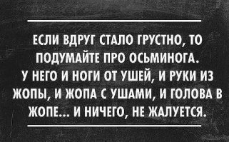 Где-то в море без дорог ходит, бродит осьминог