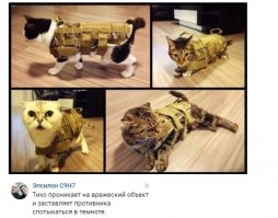 Смешные комментарии и высказывания из социальных сетей