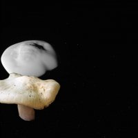 Последние снимки космоса