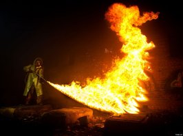 KILL IT!!! KILL IT WITH FIRE!!!!