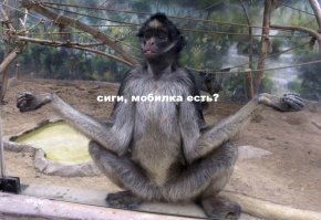 Вспомните о родственниках и согласитесь, что мы очень похожи