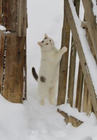 Такого разочарования ещё не испытывала ни одна девушка