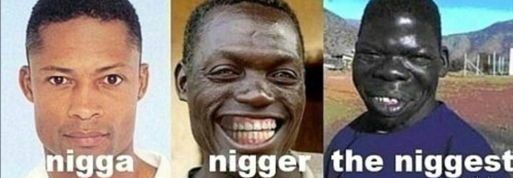 Вспомните о родственниках и согласитесь, что мы очень похожи