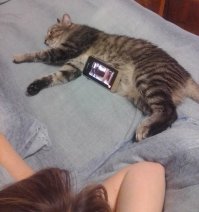 Когда хочется немного сэкономить