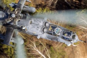 Зверюга. И вопрос - как сфотографировали?