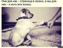 Очень приятно читать такие посты! Сам спас замерзающего щенка. Теперь этой дурехе 10 лет и выросла в здоровенную собачку). Любите животных! Они не в чем не виноваты!