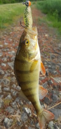 Вот такие мне больше нравятся