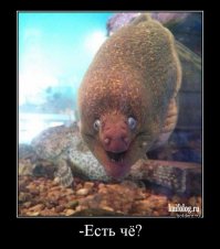 Сохранённые картинки